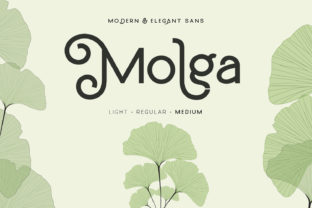 Designing Modern Brands with the Molga Display Typeface