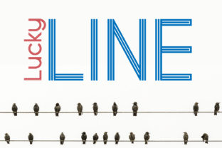 Lucky Line Font Review: Modern Monogram Style for Brands