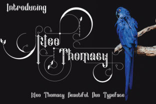 Neo Thomasy: A Unique Display Font for Branding