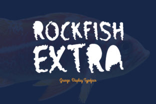 Rockfish Extra Display Font for Web Headers